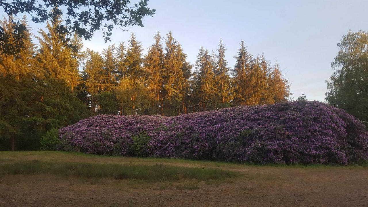 Chapeau ! Garderen Exteriör bild